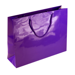 Large Purple Paper Bag